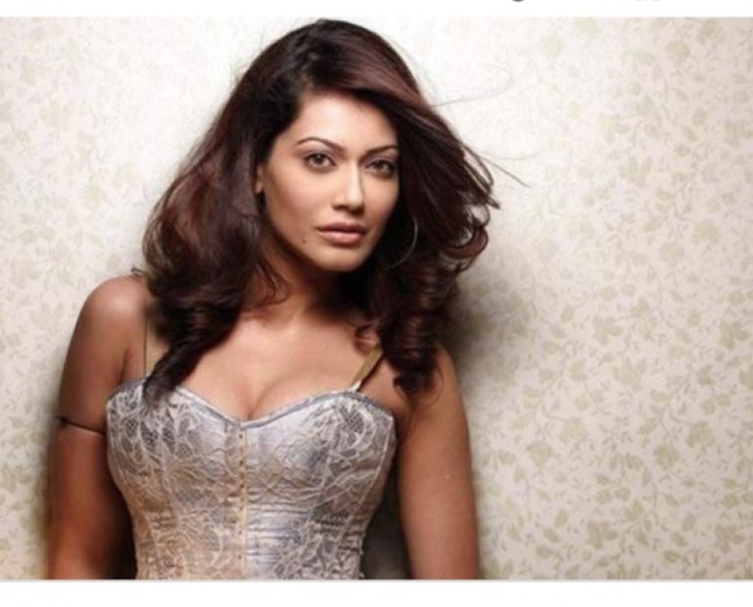 Payal Rohatgi   Height, Weight, Age, Stats, Wiki and More